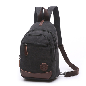 male black Canvas Backpack for college