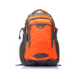 Travel picnic polyester waterproof laptop backpack custom bag