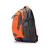 Travel picnic polyester waterproof laptop backpack custom bag